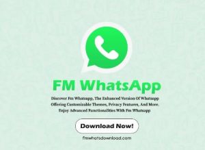 FM WhatsApp: Bridging the Gap in Communication Technology